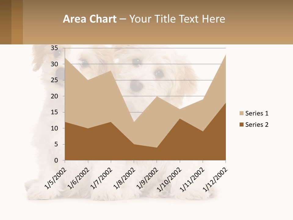Two Small White Dogs Sitting Next To Each Other PowerPoint Template