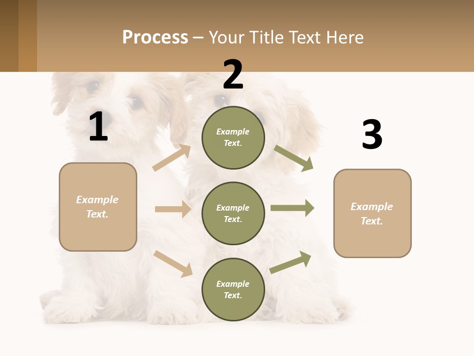 Two Small White Dogs Sitting Next To Each Other PowerPoint Template