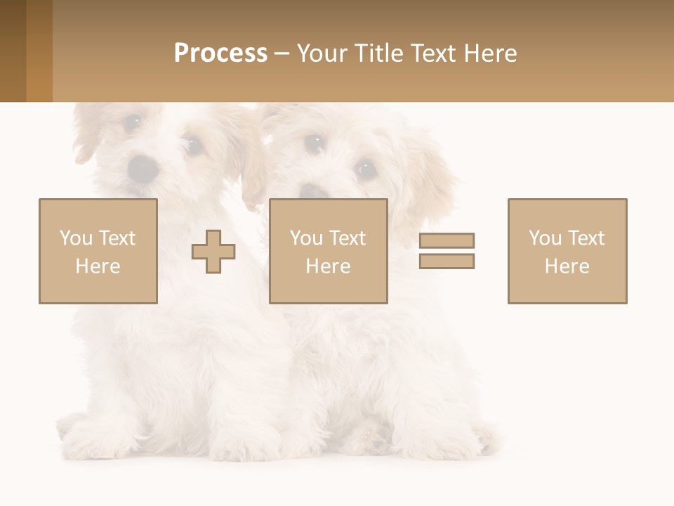 Two Small White Dogs Sitting Next To Each Other PowerPoint Template