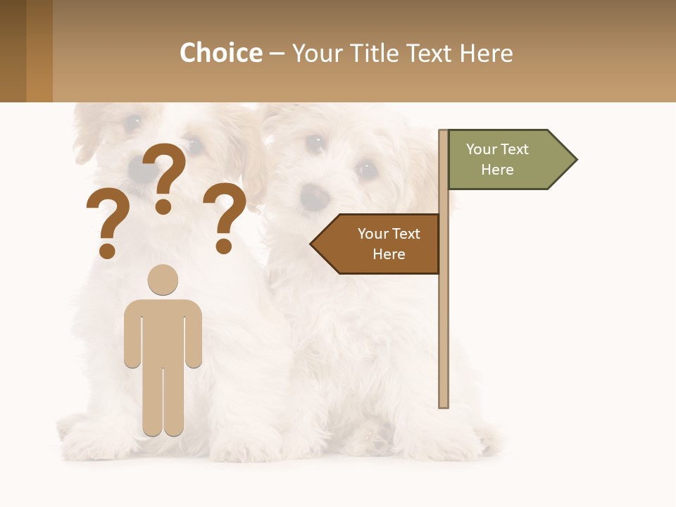 Two Small White Dogs Sitting Next To Each Other PowerPoint Template