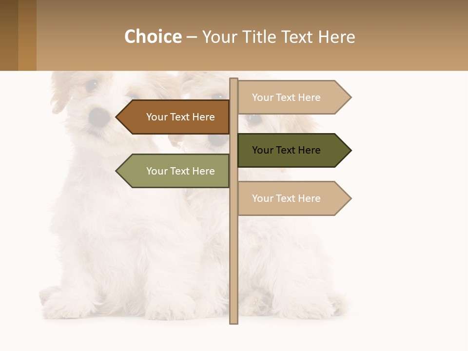 Two Small White Dogs Sitting Next To Each Other PowerPoint Template