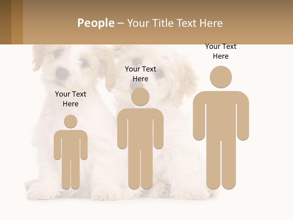 Two Small White Dogs Sitting Next To Each Other PowerPoint Template