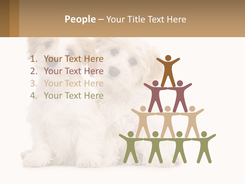 Two Small White Dogs Sitting Next To Each Other PowerPoint Template