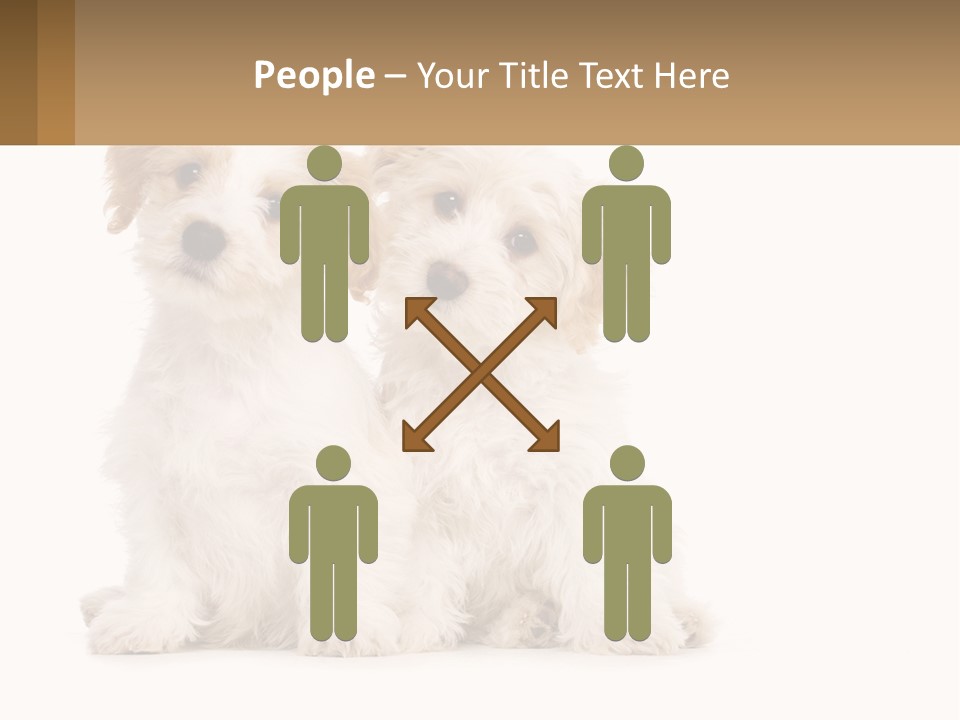 Two Small White Dogs Sitting Next To Each Other PowerPoint Template