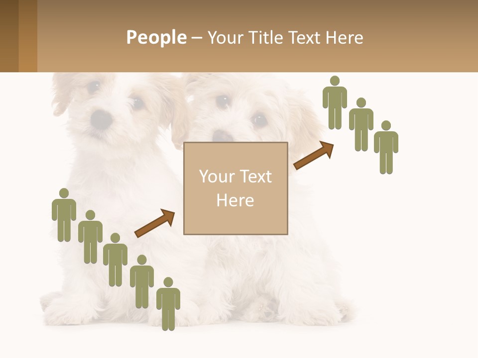 Two Small White Dogs Sitting Next To Each Other PowerPoint Template
