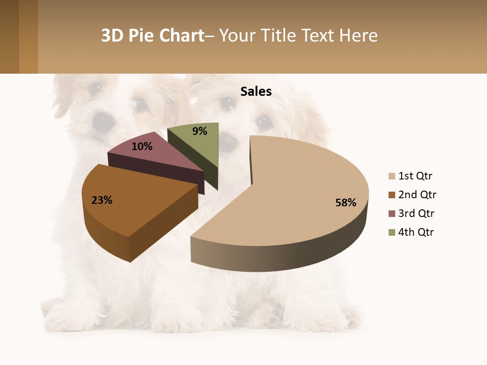 Two Small White Dogs Sitting Next To Each Other PowerPoint Template