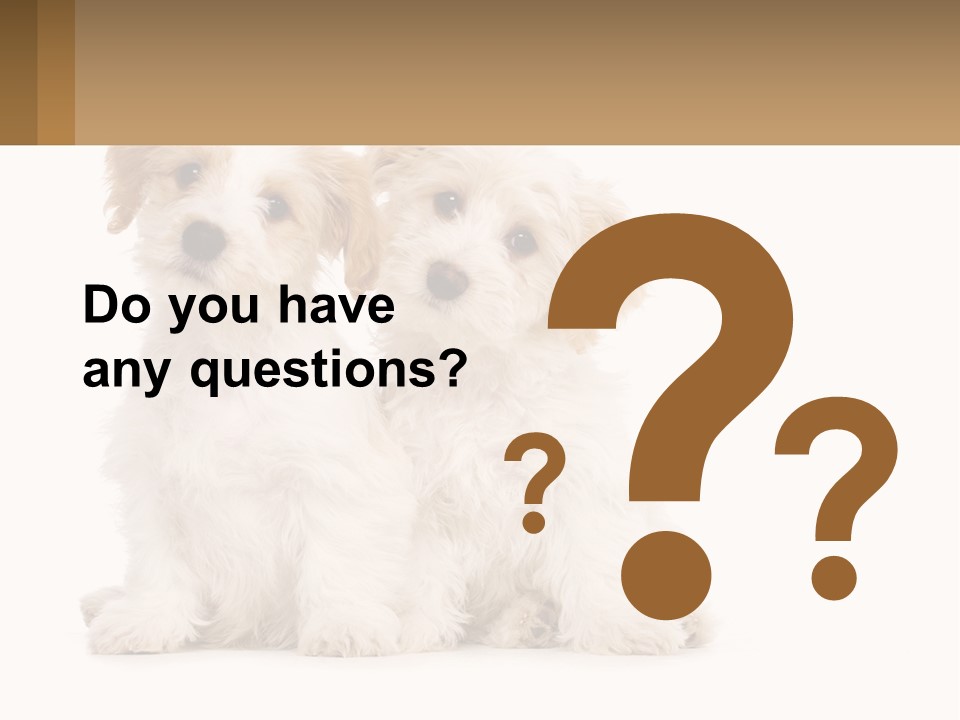 Two Small White Dogs Sitting Next To Each Other PowerPoint Template
