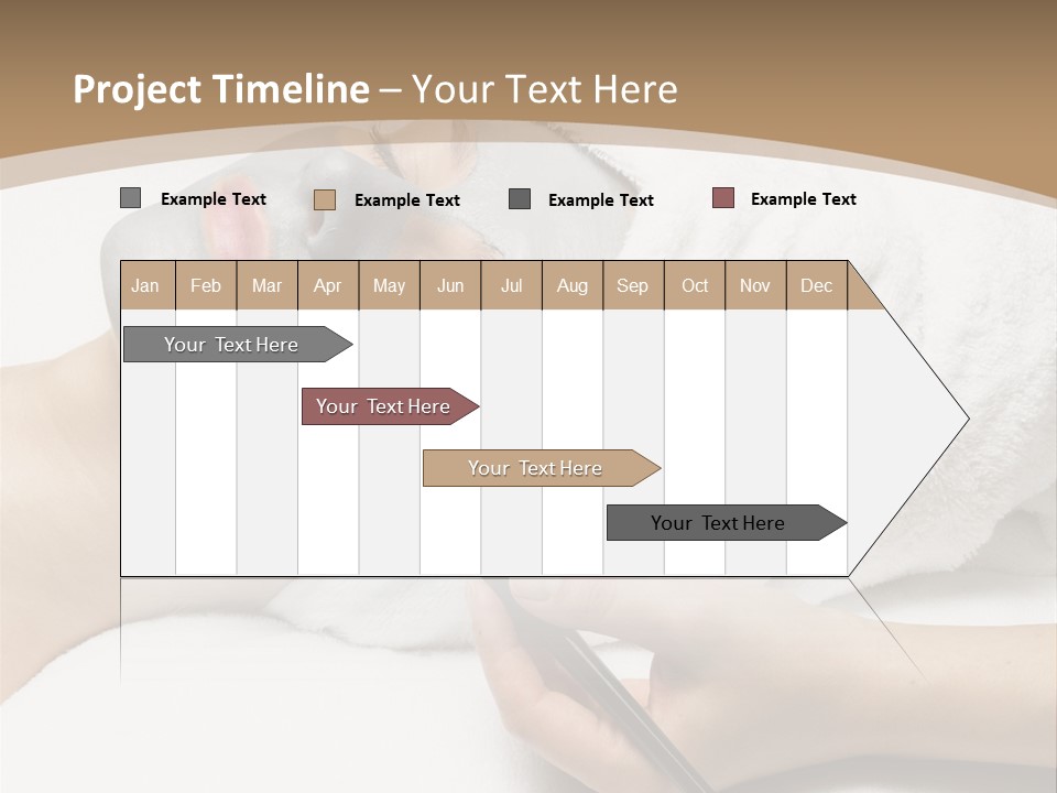 A Woman Getting A Facial Mask With A Brush PowerPoint Template