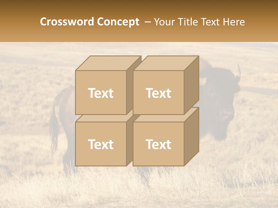 A Bison Standing In A Grassy Field With A Road In The Background PowerPoint Template