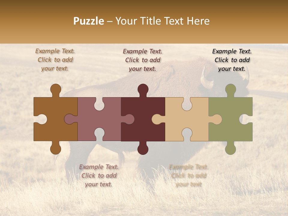 A Bison Standing In A Grassy Field With A Road In The Background PowerPoint Template