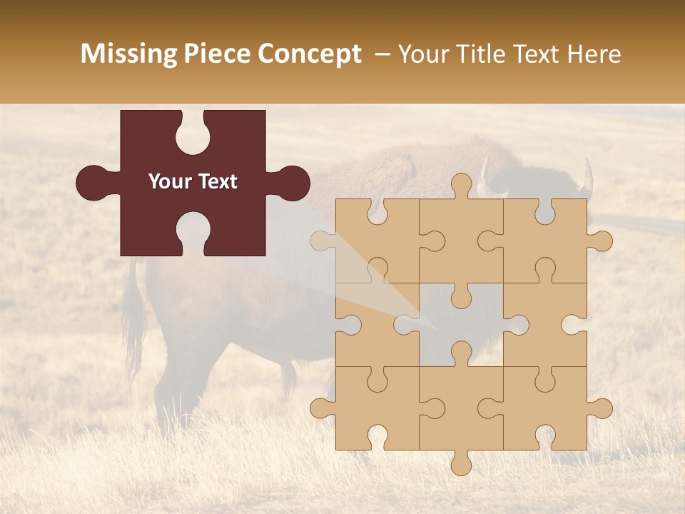 A Bison Standing In A Grassy Field With A Road In The Background PowerPoint Template