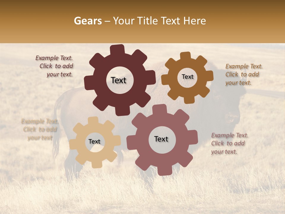 A Bison Standing In A Grassy Field With A Road In The Background PowerPoint Template