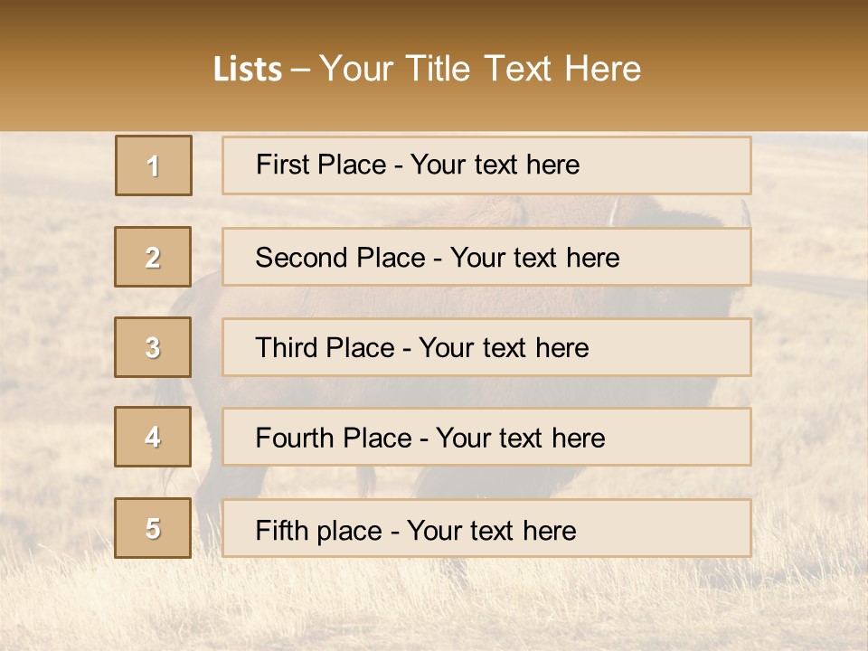 A Bison Standing In A Grassy Field With A Road In The Background PowerPoint Template