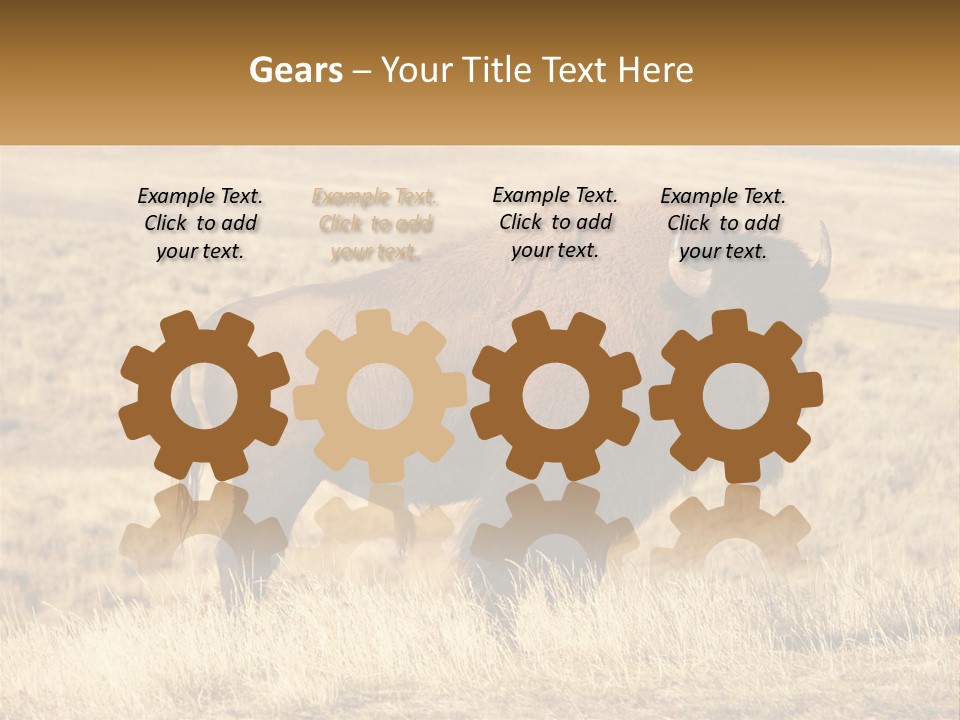 A Bison Standing In A Grassy Field With A Road In The Background PowerPoint Template