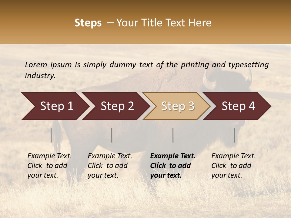A Bison Standing In A Grassy Field With A Road In The Background PowerPoint Template