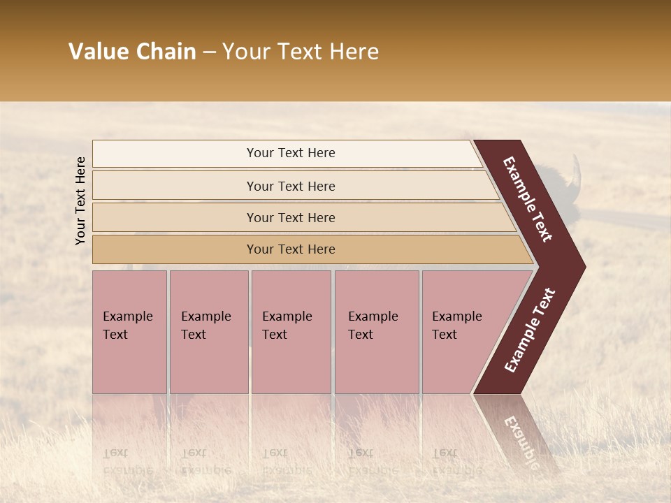 A Bison Standing In A Grassy Field With A Road In The Background PowerPoint Template