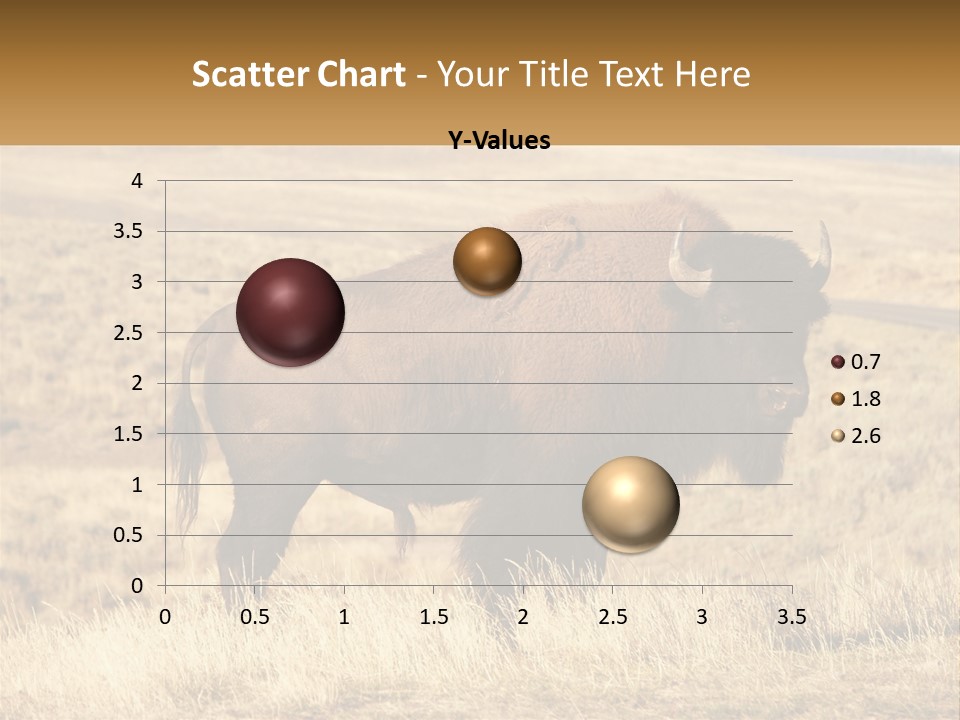 A Bison Standing In A Grassy Field With A Road In The Background PowerPoint Template