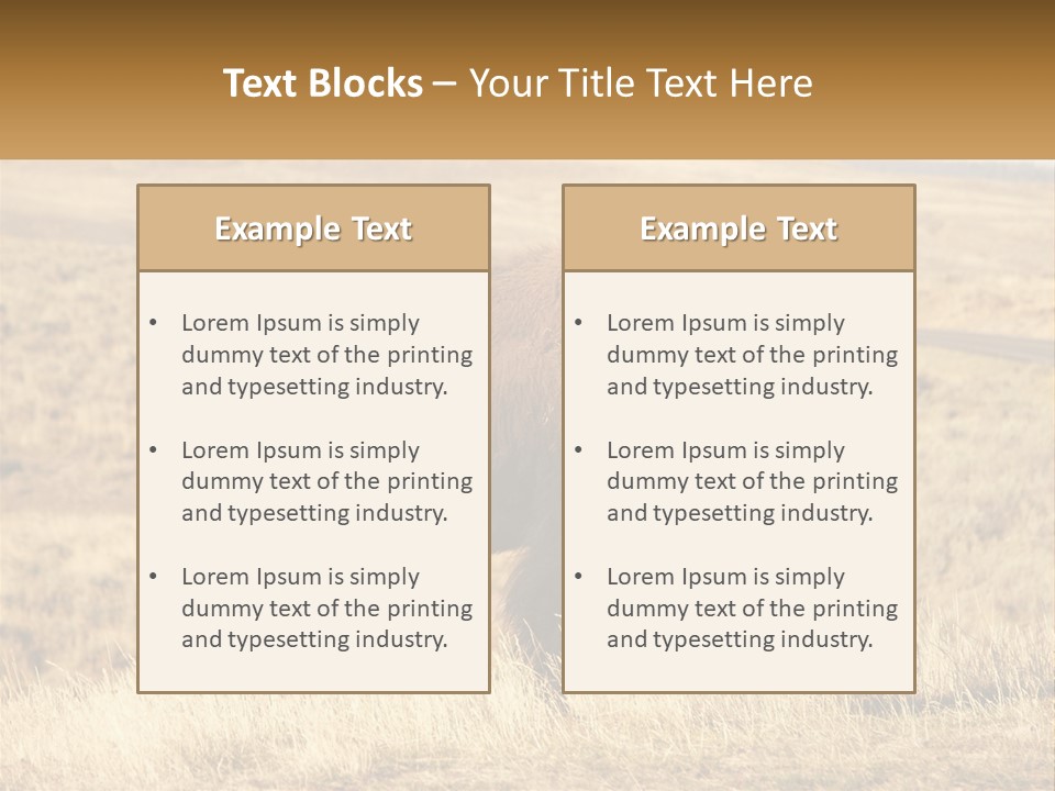 A Bison Standing In A Grassy Field With A Road In The Background PowerPoint Template