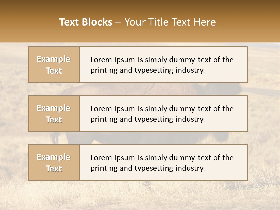 A Bison Standing In A Grassy Field With A Road In The Background PowerPoint Template