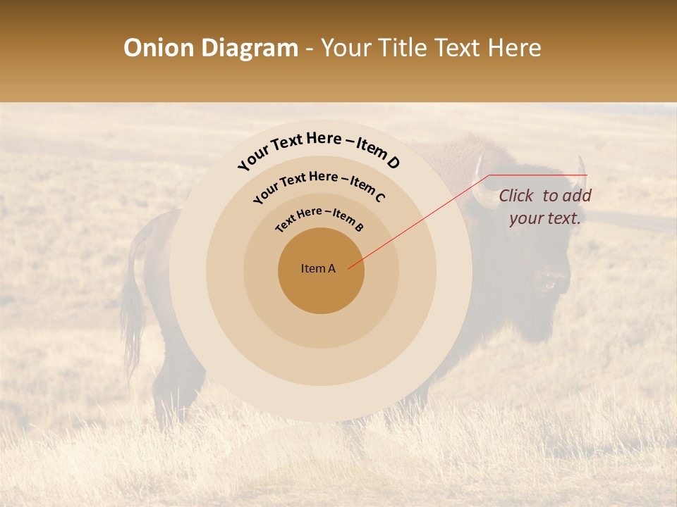 A Bison Standing In A Grassy Field With A Road In The Background PowerPoint Template