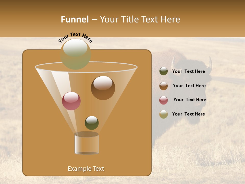 A Bison Standing In A Grassy Field With A Road In The Background PowerPoint Template