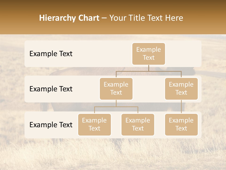 A Bison Standing In A Grassy Field With A Road In The Background PowerPoint Template