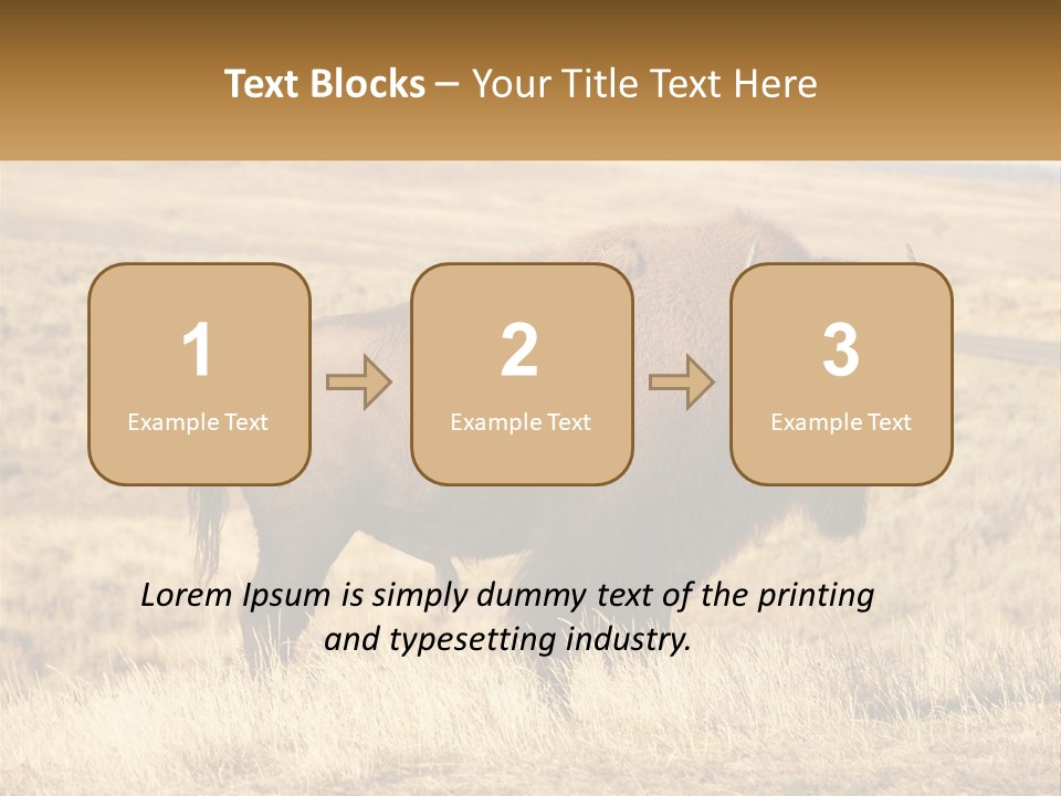 A Bison Standing In A Grassy Field With A Road In The Background PowerPoint Template