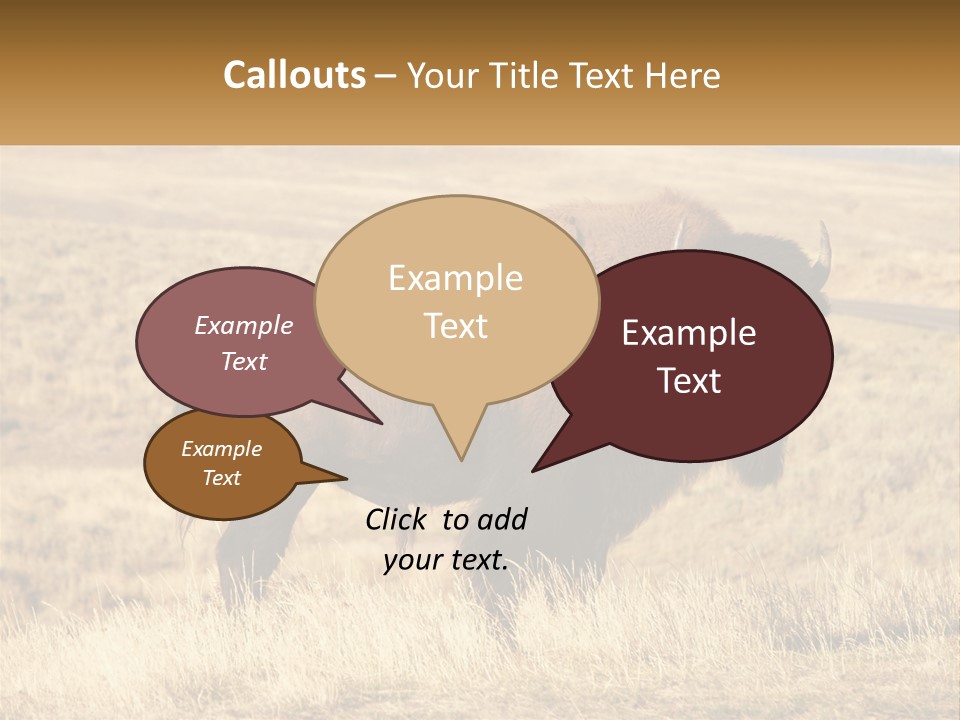 A Bison Standing In A Grassy Field With A Road In The Background PowerPoint Template