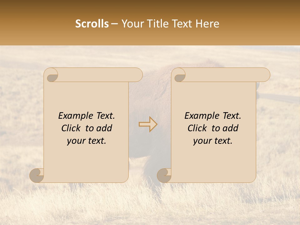 A Bison Standing In A Grassy Field With A Road In The Background PowerPoint Template