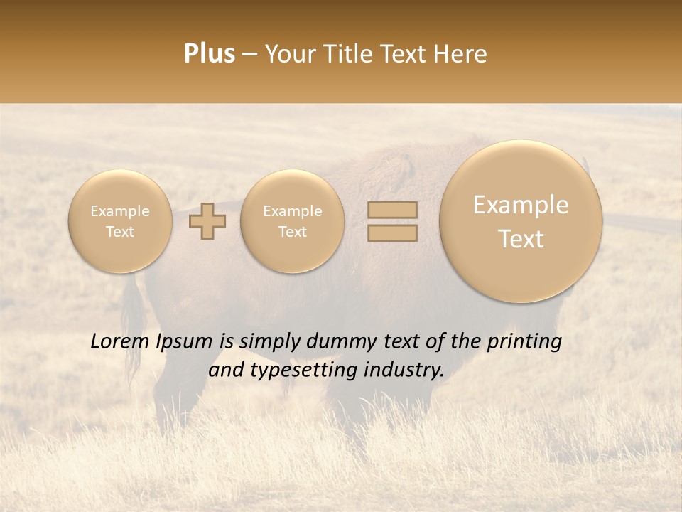 A Bison Standing In A Grassy Field With A Road In The Background PowerPoint Template
