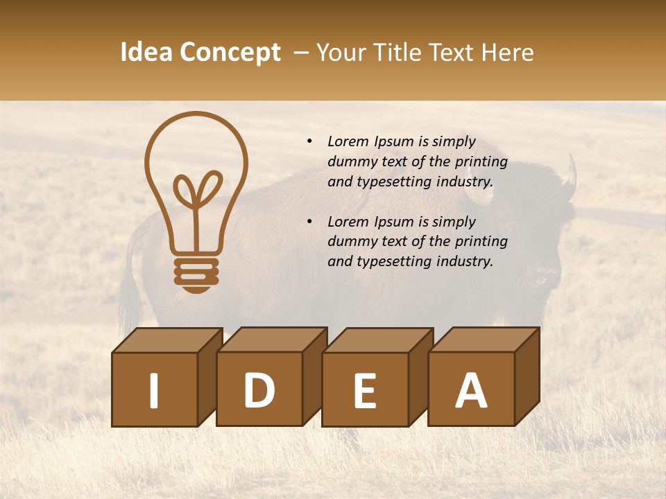 A Bison Standing In A Grassy Field With A Road In The Background PowerPoint Template