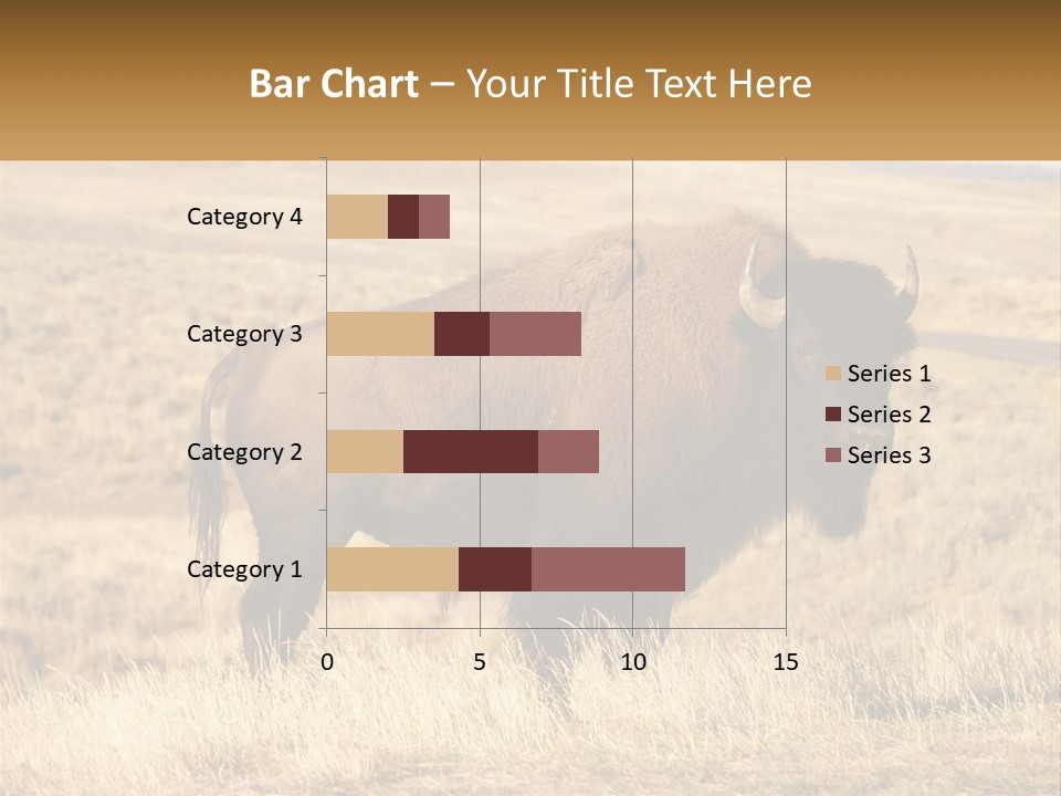 A Bison Standing In A Grassy Field With A Road In The Background PowerPoint Template