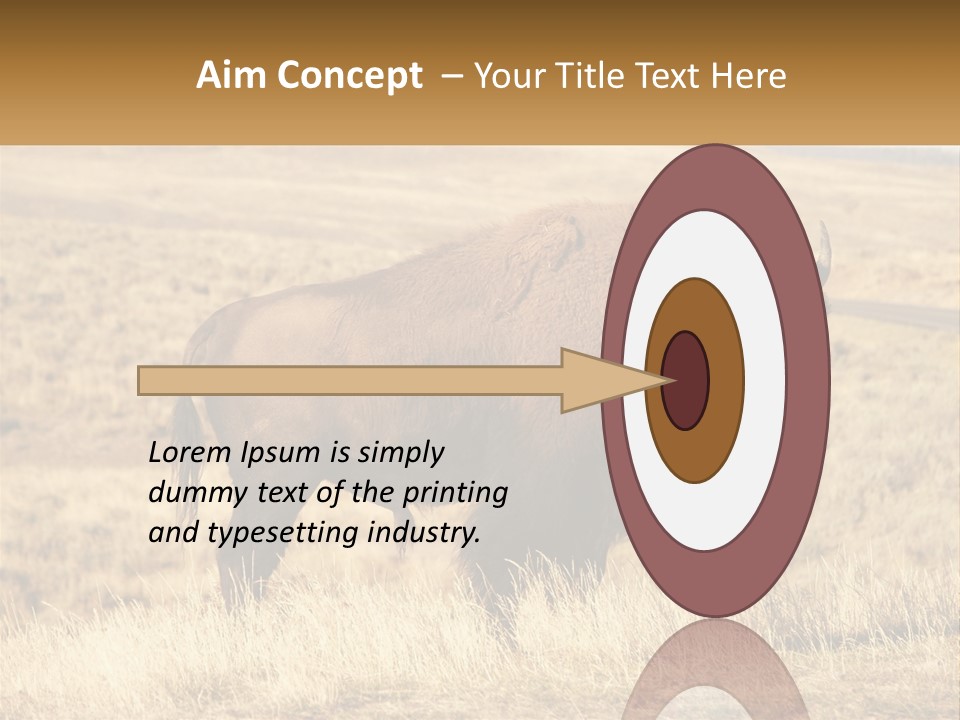 A Bison Standing In A Grassy Field With A Road In The Background PowerPoint Template