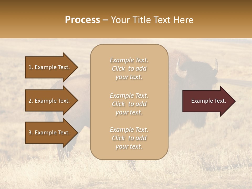 A Bison Standing In A Grassy Field With A Road In The Background PowerPoint Template