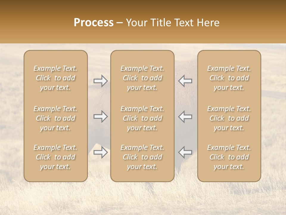A Bison Standing In A Grassy Field With A Road In The Background PowerPoint Template