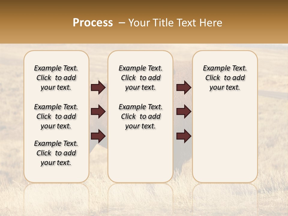 A Bison Standing In A Grassy Field With A Road In The Background PowerPoint Template