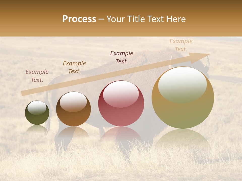 A Bison Standing In A Grassy Field With A Road In The Background PowerPoint Template