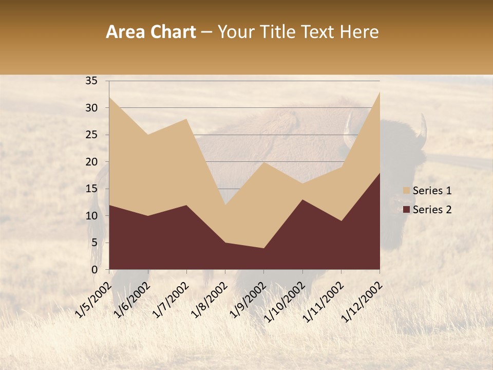 A Bison Standing In A Grassy Field With A Road In The Background PowerPoint Template