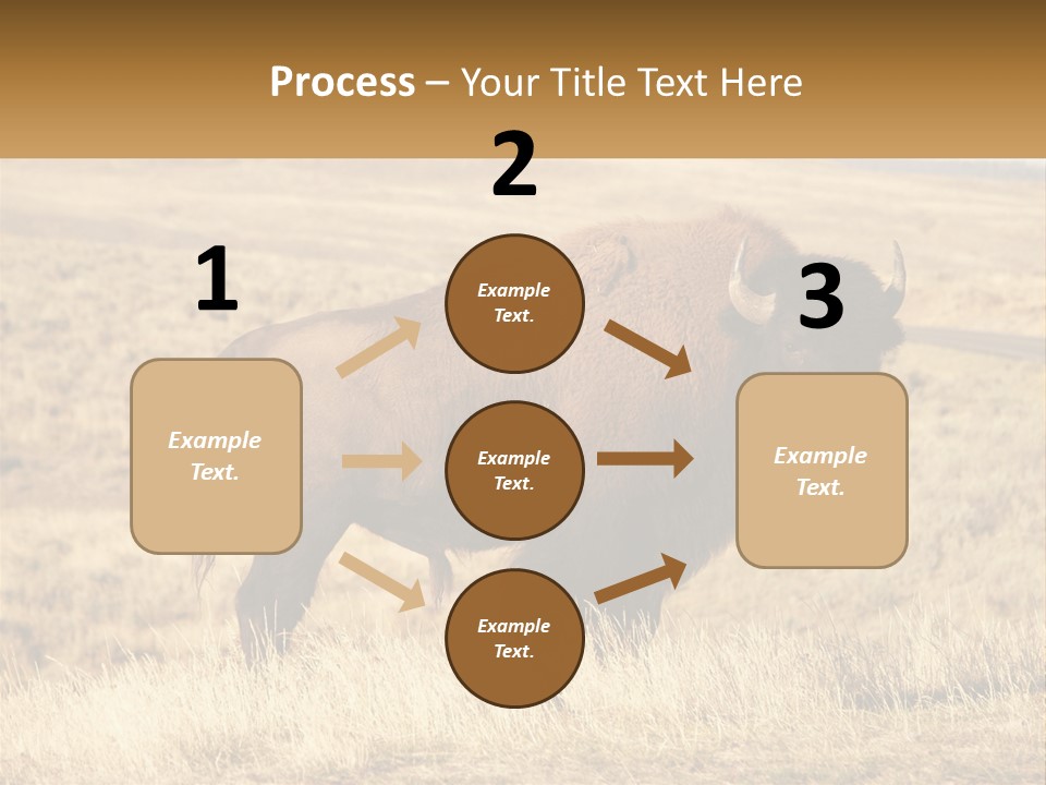 A Bison Standing In A Grassy Field With A Road In The Background PowerPoint Template