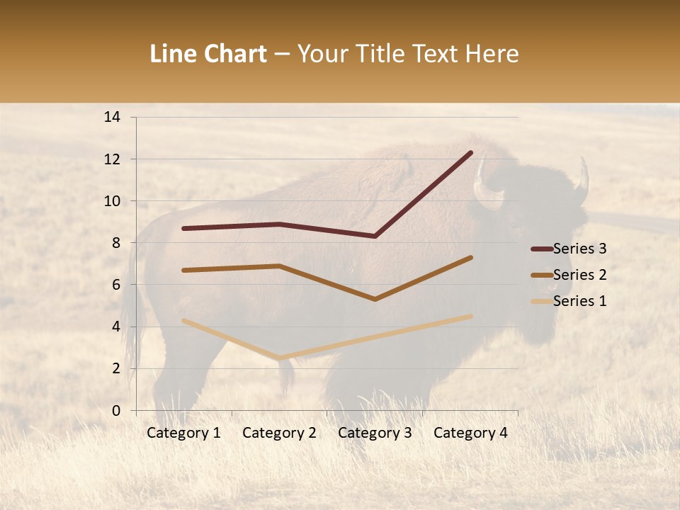 A Bison Standing In A Grassy Field With A Road In The Background PowerPoint Template