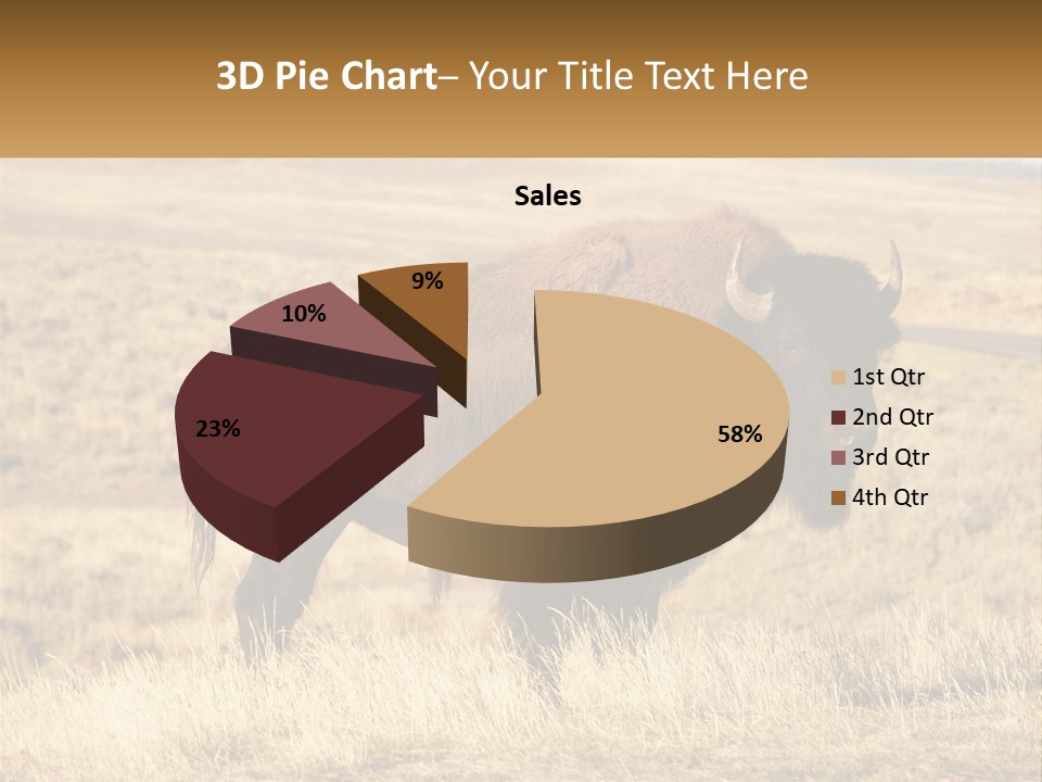 A Bison Standing In A Grassy Field With A Road In The Background PowerPoint Template