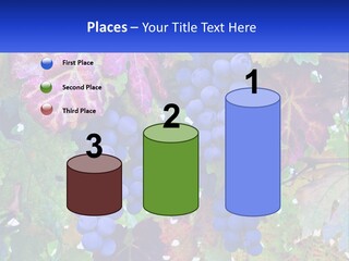 A Bunch Of Grapes Hanging From A Tree PowerPoint Template