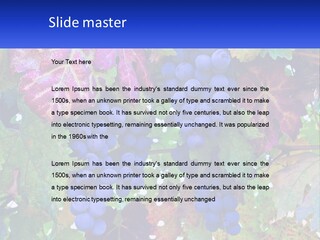 A Bunch Of Grapes Hanging From A Tree PowerPoint Template