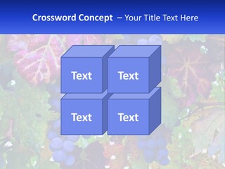 A Bunch Of Grapes Hanging From A Tree PowerPoint Template