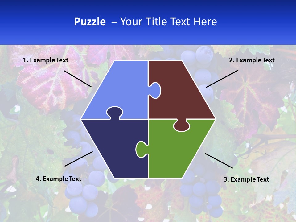 A Bunch Of Grapes Hanging From A Tree PowerPoint Template