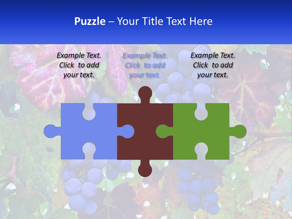 A Bunch Of Grapes Hanging From A Tree PowerPoint Template