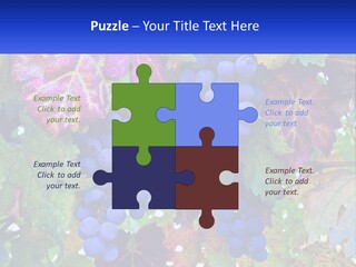 A Bunch Of Grapes Hanging From A Tree PowerPoint Template