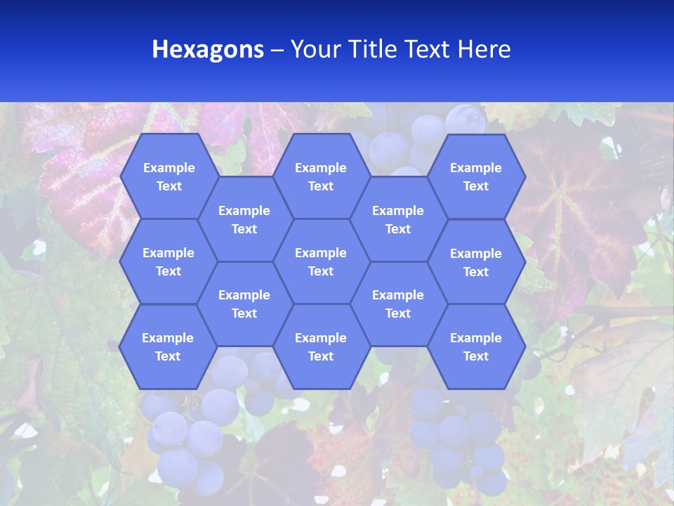 A Bunch Of Grapes Hanging From A Tree PowerPoint Template