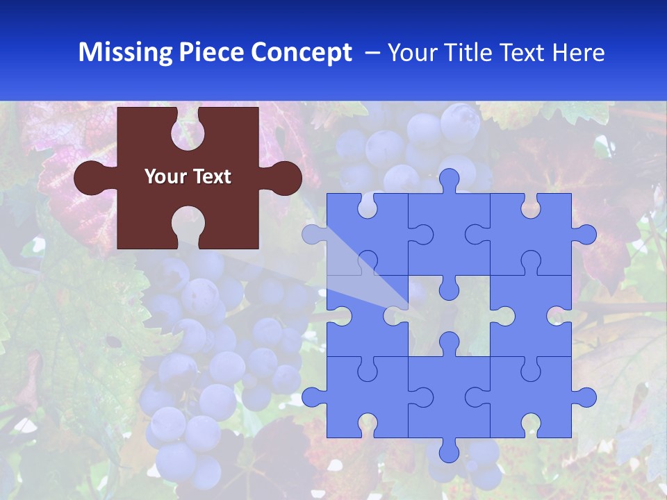 A Bunch Of Grapes Hanging From A Tree PowerPoint Template