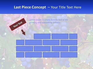 A Bunch Of Grapes Hanging From A Tree PowerPoint Template